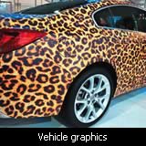 Vehicle graphics